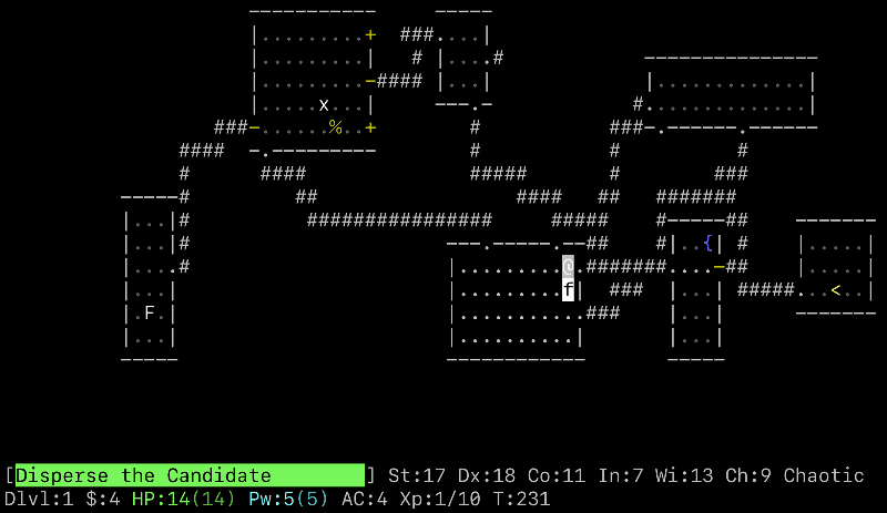 Screenshot of NetHack